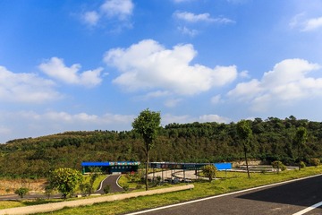 IMG_2230-1