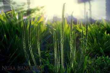 南航 东区