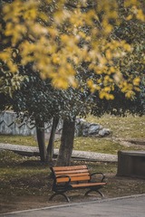 2390202