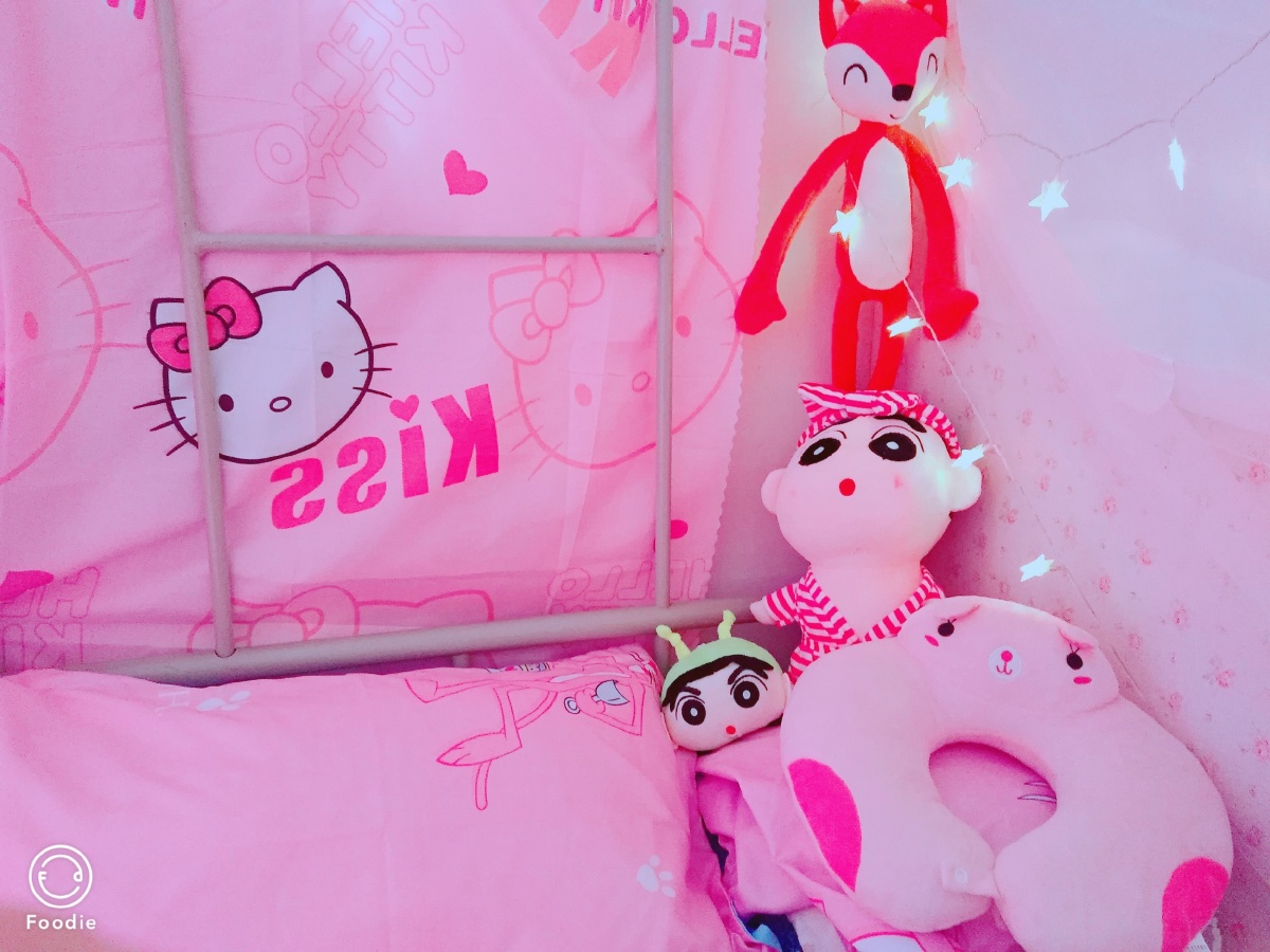 粉色的宿舍一角