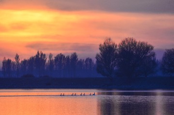 DSC_9766-1