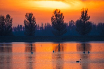 DSC_9520-1