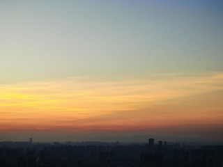 1000049438