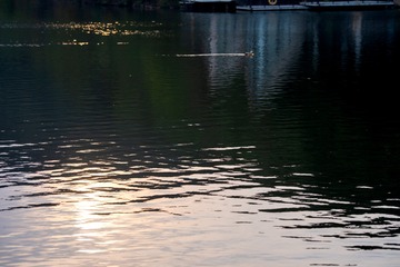 100EOS5D_4L5A5423