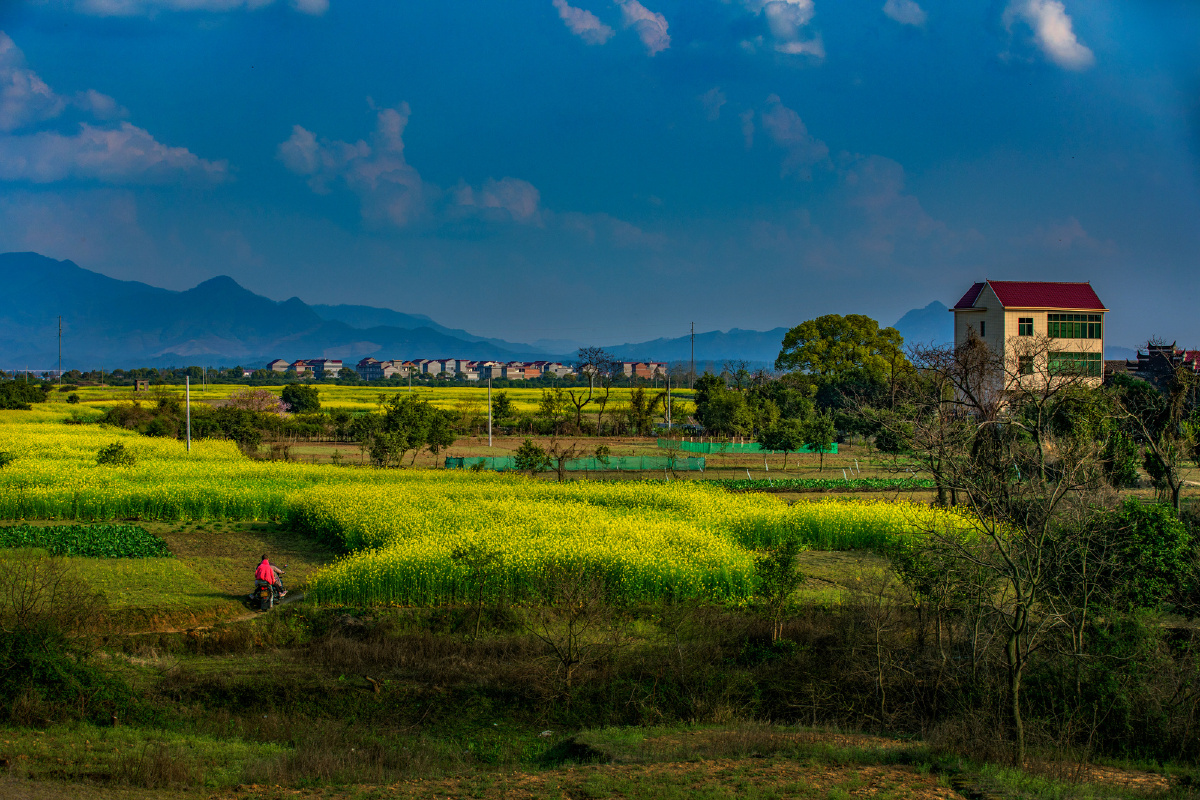 江西新干乡村田园风光