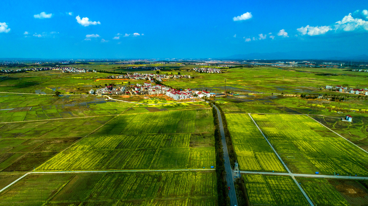 江西新干乡村田园风光