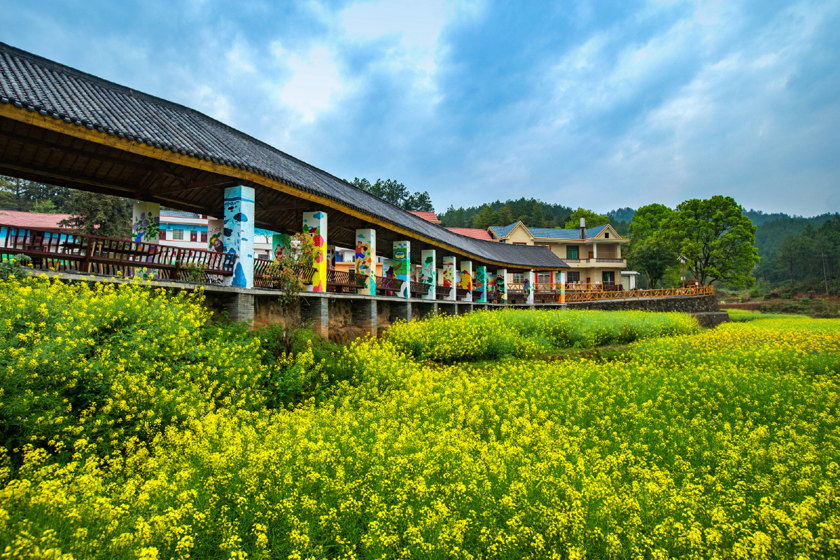 江西万安中国农民画之乡田北画村游人醉