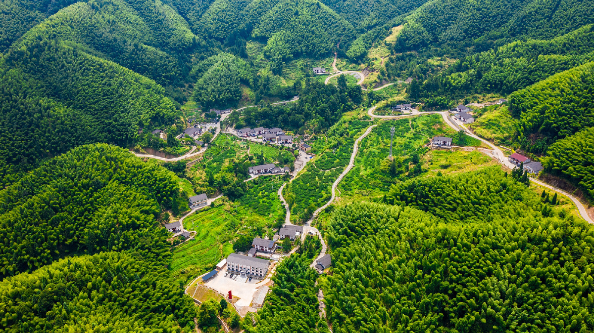 江西井冈山红色引领绿色崛起中国革命从这里走向胜利