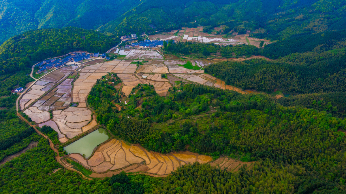 江西新干上寨乡村美如画田间地头农耕忙