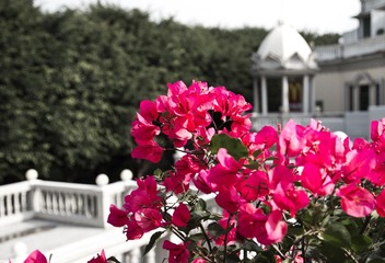 IMG_0740.jpg