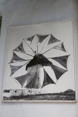 IMG_3415.jpg