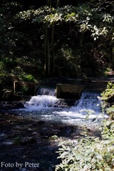IMG_9209.jpg