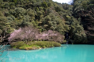 IMG_9127c.JPG