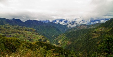 IMG_0994.jpg