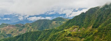 IMG_1035.jpg