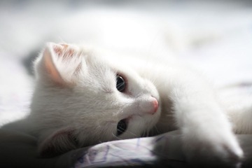 惆怅