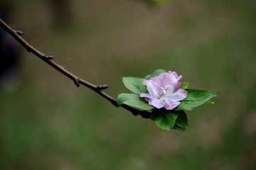 3414618F-BD8F-47C6-A142-7956E7FA940B/L0/001