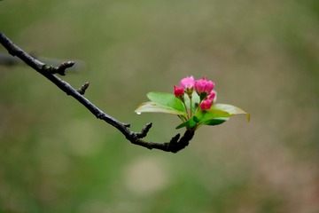 D70A0908-04D2-4671-B2C2-934AAD3213F7/L0/001