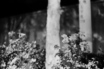 Untitled-24.jpg