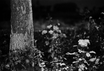 Untitled-26.jpg