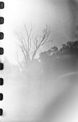 Untitled-7.jpg
