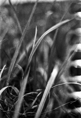 Untitled-10.jpg