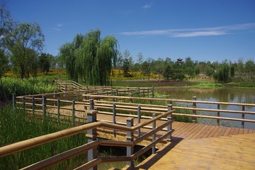 2011-03-21 16.23.53