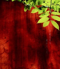 红-树影