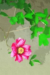 花似人心.jpg