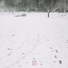 冰原.jpg