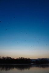 北国的春-4.jpg