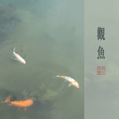 观鱼.jpg