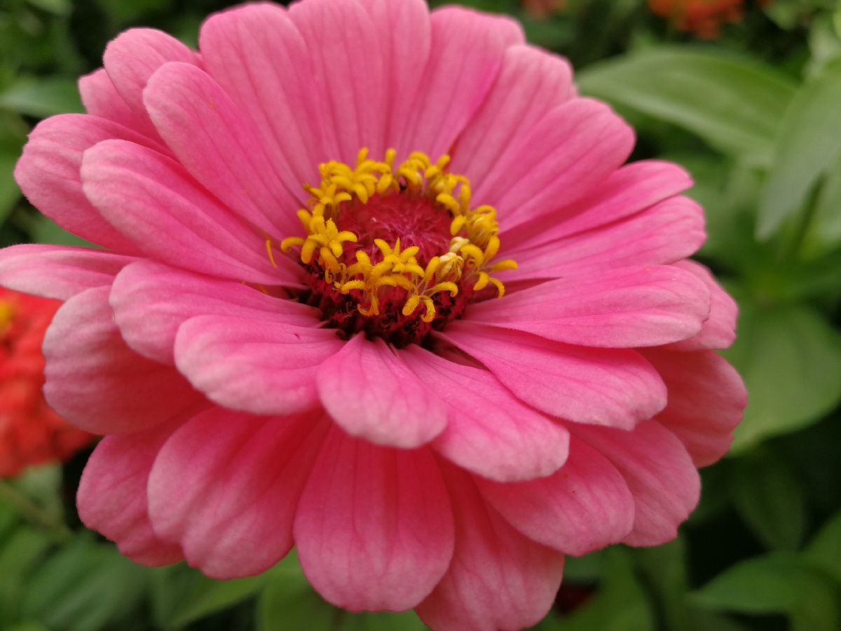 凑合看吧 - leepongmin - 图虫