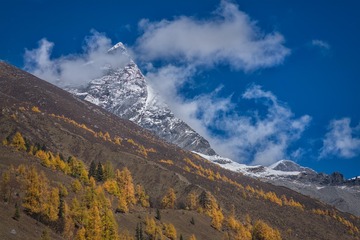 _DSC7092