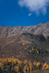 _DSC7094