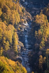 _DSC7124