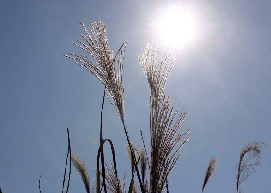 好温暖的太阳
