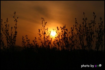 夕阳【2010.3.17.杭州宝石山】