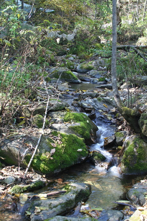 辽宁丹东 青山沟