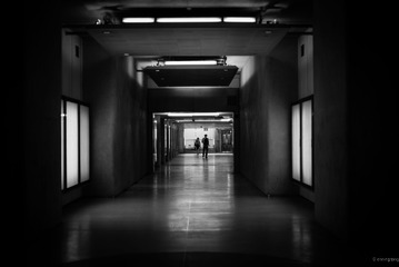 L1000865-1