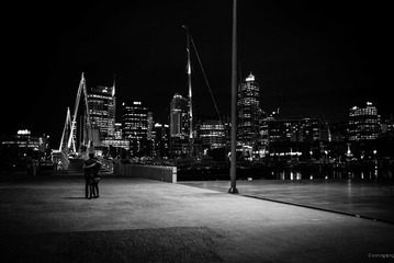 L1006450-1