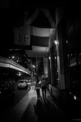 L1006482-1