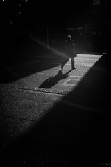 L1006549-1