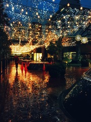 Auckland 雨夜