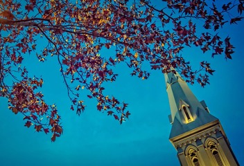 L2332166-Edit-2