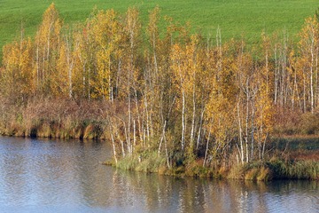 L2333044