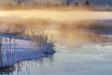 L2333063-Edit