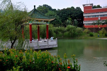 DSC_8353.jpg