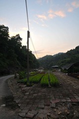 DSC_8358.jpg