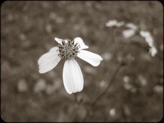IMG_8618.jpg